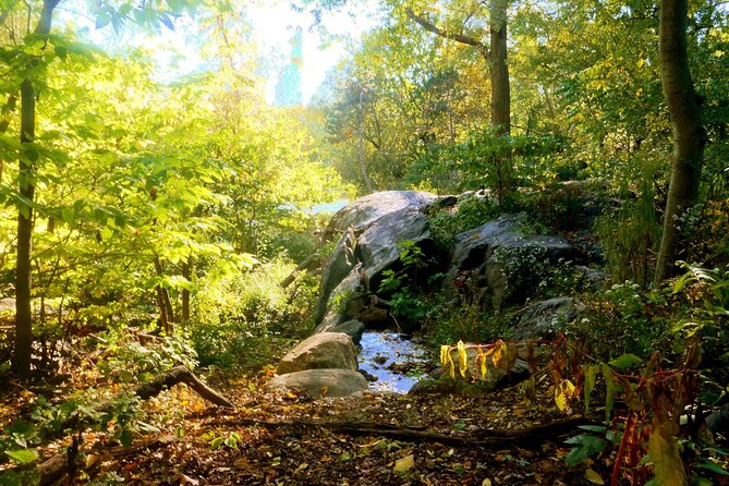 Central Park Guided Walking Tour - Natural Marvels - Why this three-hour route works