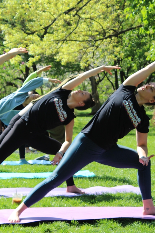 Central Park: Highest Rated Yoga Class in New York City! - What the One-Hour Class Is Like