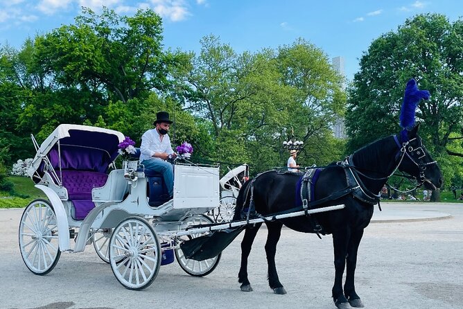 Central Park Horse and Carriage Rides - The carousel, zoo, Balto, and famous apartment buildings