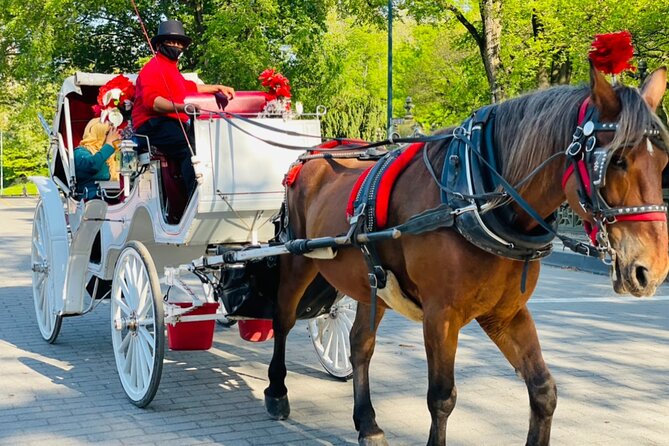 Central Park Horse and Carriage Rides - Literary Walk and the park’s formal design