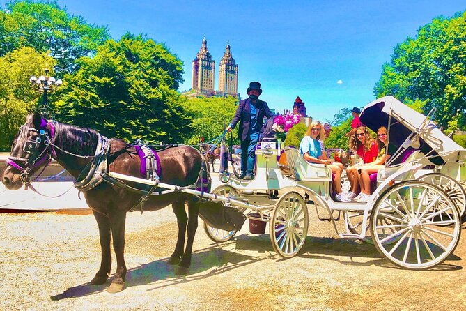 Central Park Horse and Carriage Rides - Bow Bridge and the lake views