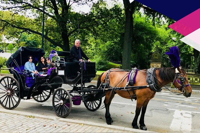 Central Park Horse and Carriage Rides - Cherry Hill and the west side apartment views