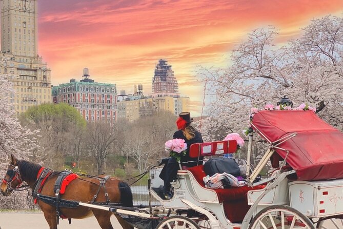 Central Park Horse and Carriage Rides - Strawberry Fields and the Dakota Building
