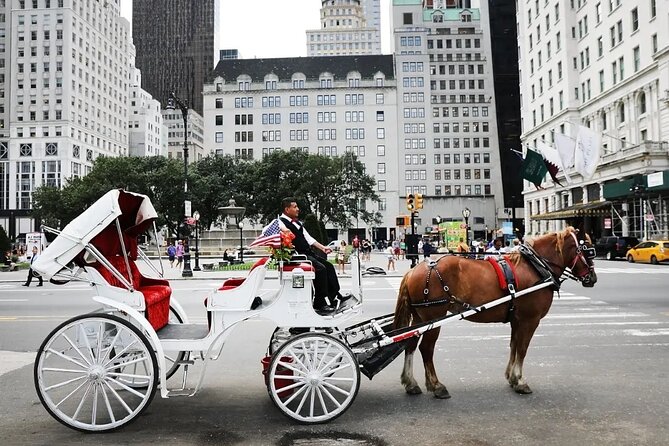 Central Park Horse Carriage Ride - Key things to know before you book