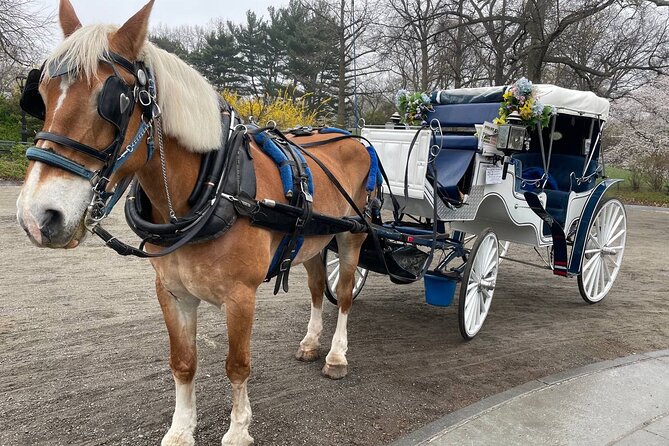 Central Park Horse Carriage Ride - The Carousel, Chess and Checkers House, and Central Park Zoo