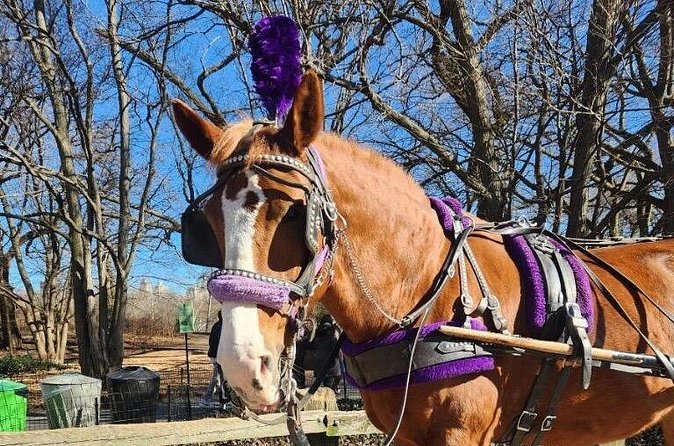 Central Park Horse Carriage Ride - Bow Bridge and the Daniel Webster statue