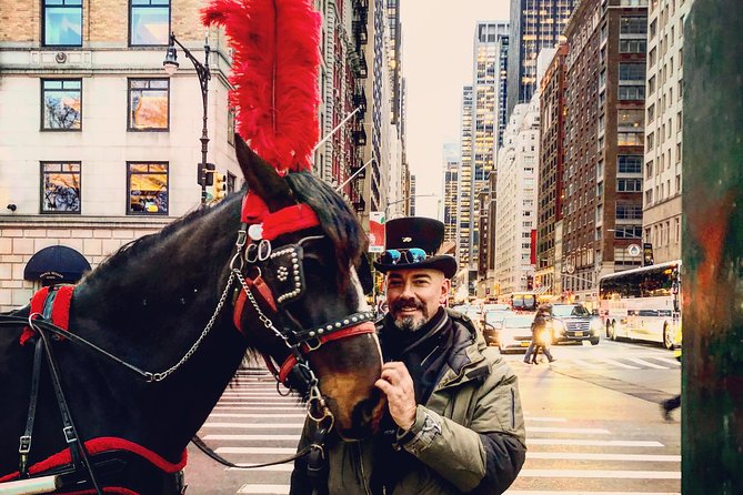 Central Park Horse Carriage Ride Short Loop (Up to 4 Adults)) - Blankets, roofs, and the seasonal feel