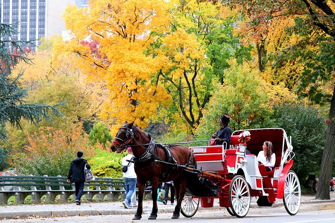 Central Park Horse Carriage Ride Short Loop (Up to 4 Adults)) - Guide service is the biggest variable