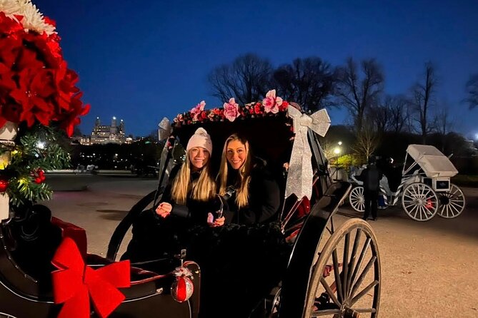 Central Park Moonlight Tour with Photo (45 min) ~ Skip the line - Key points to know before booking
