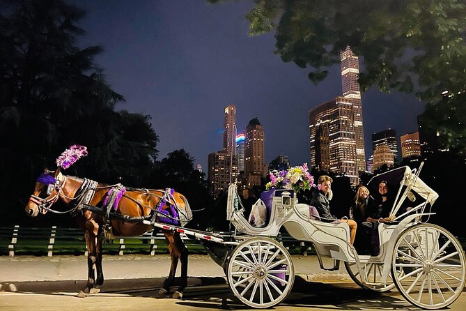 Central Park Moonlight Tour with Photo (45 min) ~ Skip the line - Meeting the carriage at Central Park South