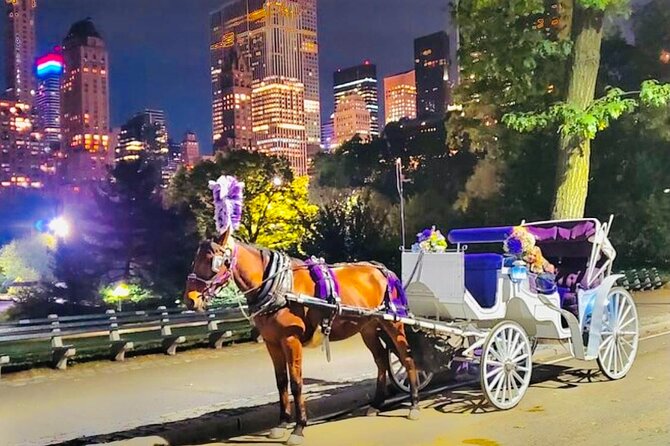Central Park Moonlight Tour with Photo (45 min) ~ Skip the line - The photo stop and the limits of night photography