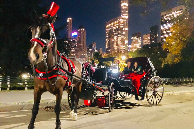 Central Park Moonlight Tour with Photo (45 min) ~ Skip the line - Is $199.99 good value for four people?
