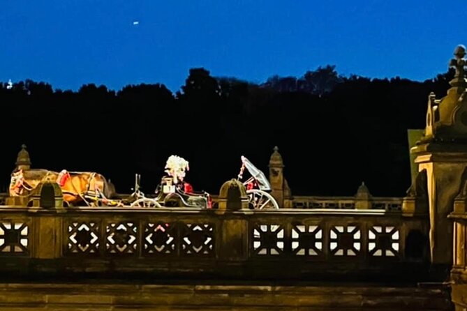 Central Park Moonlight Tour with Photo (45 min) ~ Skip the line - Who will enjoy this most?