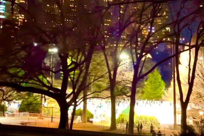 Central Park Moonlight Tour with Photo (45 min) ~ Skip the line - Timing, weather, and cancellation rules
