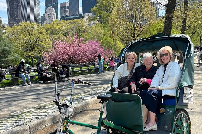 Central Park Movie Locations and Celebrity Homes Pedicab Tour - Bethesda Terrace and Bow Bridge