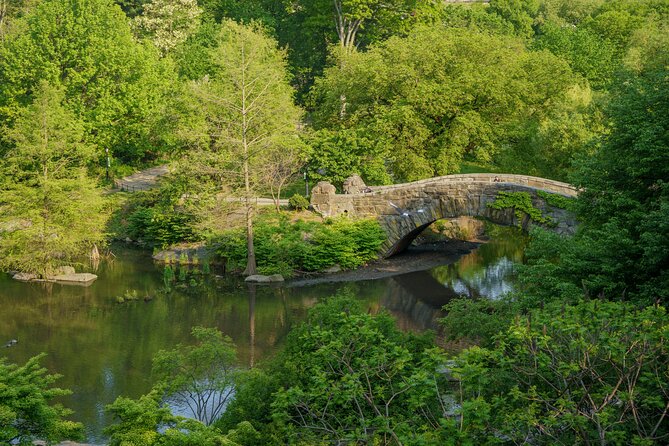 Central Park Movie Locations Pedicab Tour - From the Plaza Hotel to Gapstow Bridge
