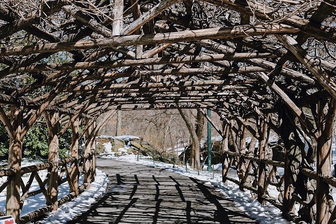 Central Park New York - Exclusive Guided Walking Tour - Why a guided walk helps in Central Park
