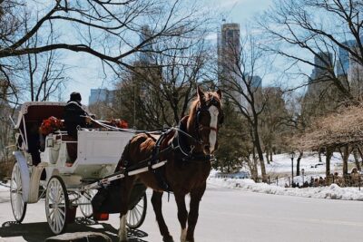 Central Park New York – Exclusive Guided Walking Tour