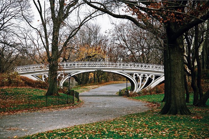 Central Park New York - Exclusive Guided Walking Tour - Turtle Pond and the Great Lawn