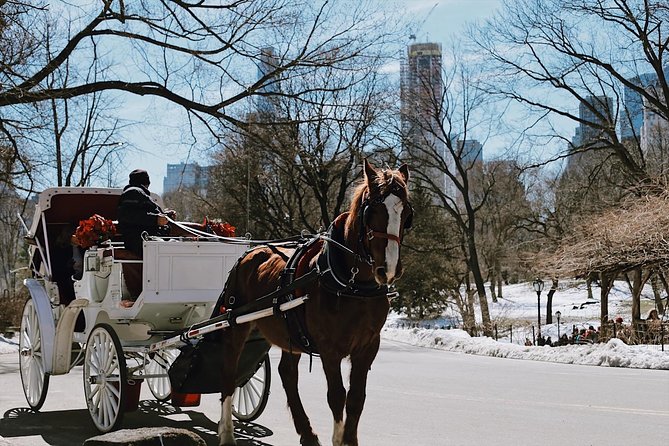 Central Park New York - Exclusive Guided Walking Tour - Starting near Central Park South and 59th Street
