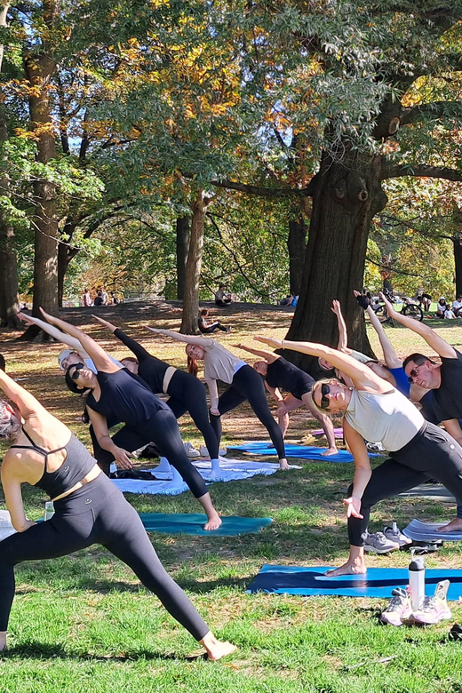Central Park, New York: Yoga Classes in the park since 2012 - Key points at a glance
