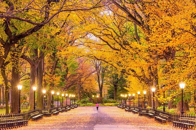 Central Park Pedicab Guided Tours - Key points at a glance