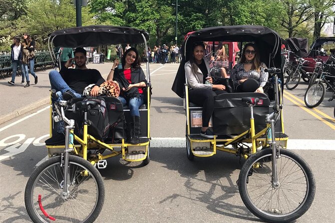 Central Park Pedicab Tour with Guide - The carousel, Wollman Rink, and the park’s movie-set appeal