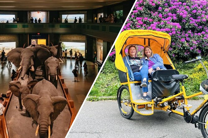 Central Park Pedicab Tour with Natural History Museum Access - Why a pedicab works well in Central Park