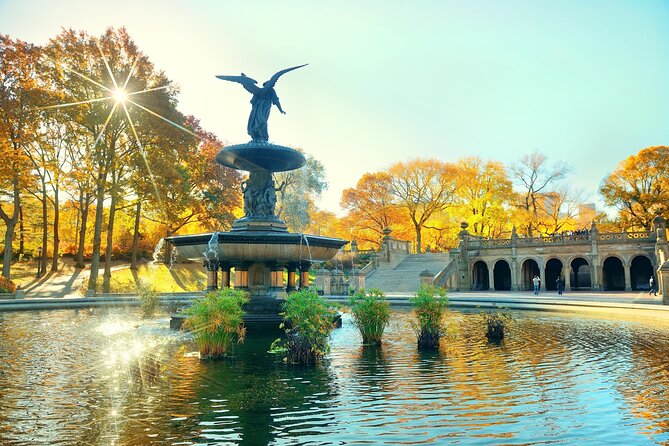 Central Park Pedicab Tours - Wollman Rink and Gapstow Bridge