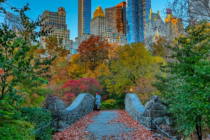 Central Park Pedicab Tours - History and Movie Locations - Price, pacing, and who gets the most from it