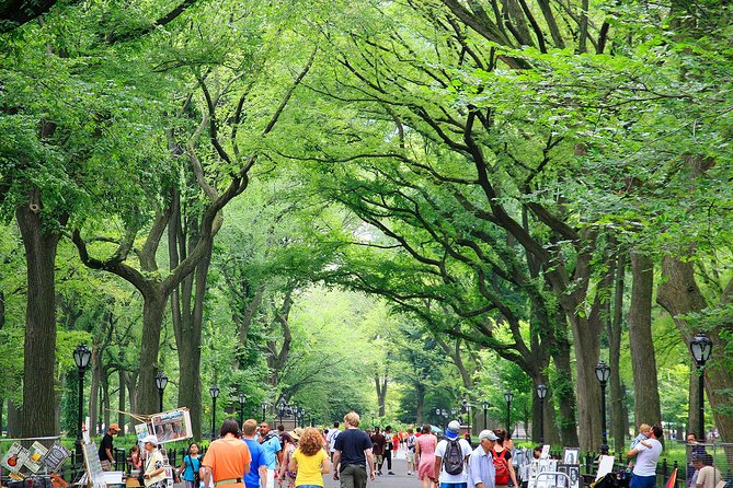 Central Park Photography Tour with Local Photographer - Bethesda Fountain and Terrace