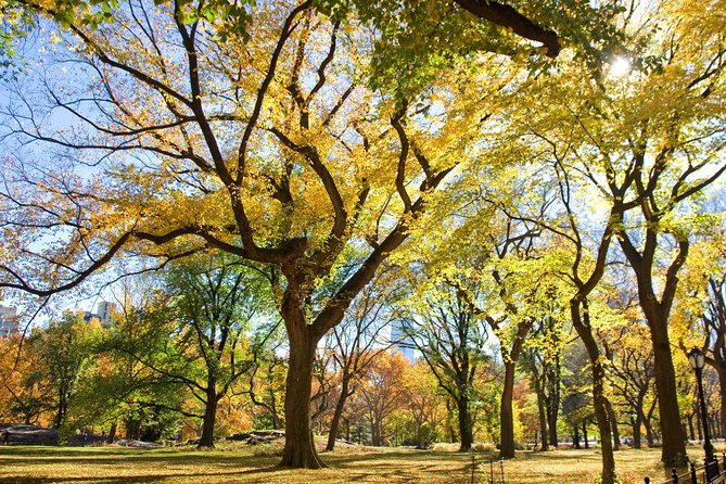 Central Park Photography Tour with Local Photographer - Starting at Bethesda Terrace