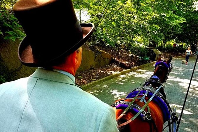 Central Park Private Horse and Carriage Tour - Why a carriage ride can be a smart first look at Central Park