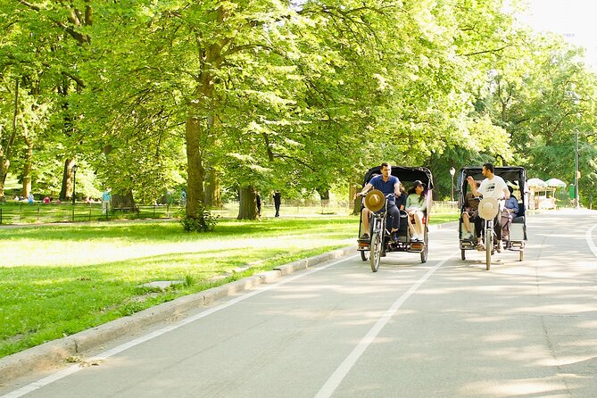 Central Park Private Pedicab Tour - Key points to know before you book