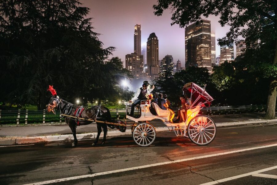 Central Park, Rockefeller & Times Carriage Ride (4 Adults) - Key points to know before booking