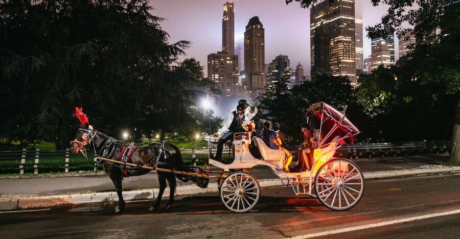 Central Park, Rockefeller & Times Carriage Ride (4 Adults) - Practical details that shape the experience