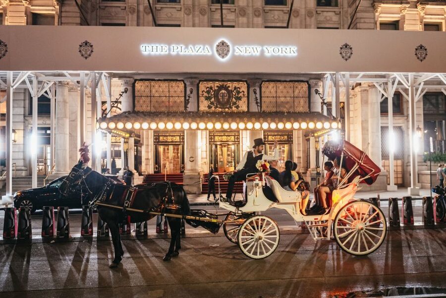 Central Park, Rockefeller & Times Carriage Ride (4 Adults) - Fifth Avenue and the Rockefeller area