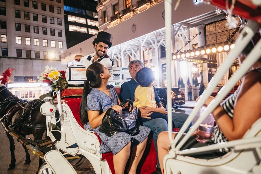 Central Park, Rockefeller & Times Carriage Ride (4 Adults) - Times Square from a carriage seat