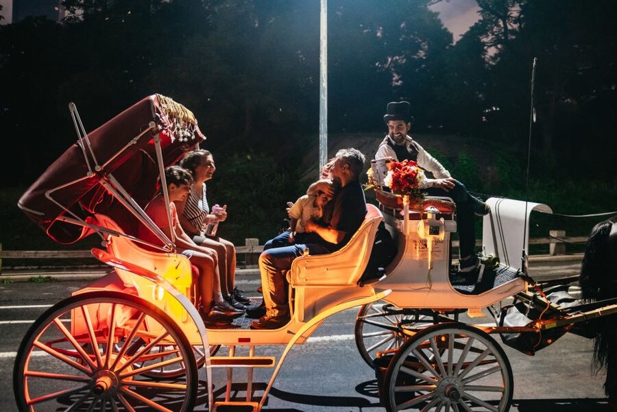 Central Park, Rockefeller & Times Carriage Ride (4 Adults) - What the private carriage adds