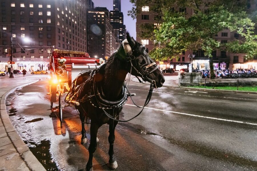Central Park, Rockefeller & Times Carriage Ride (4 Adults) - Roof, blankets, and weather planning