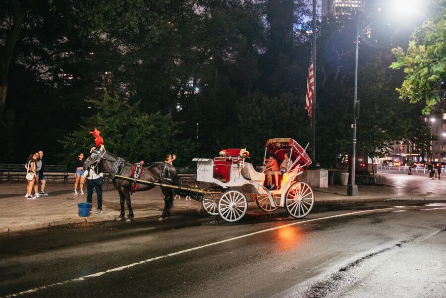 Central Park, Rockefeller & Times Carriage Ride (4 Adults) - Is $295 a fair price for four adults?