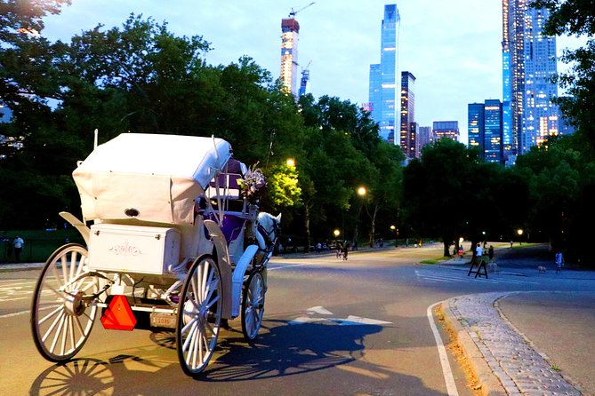 Central Park & Rockefeller Tour (4 Adults) - Fifth Avenue’s grand landmarks