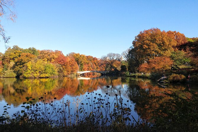 Central Park: Scandal & Vice Walking Tour - Bethesda Terrace, Jacob Wrey Mould, and the Birth of Reform