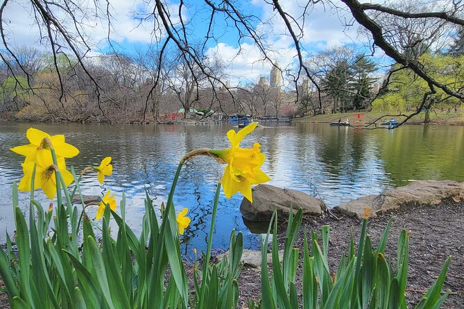 Central Park Secrets And Highlights - Arch bridges, rocks, and places you might walk past