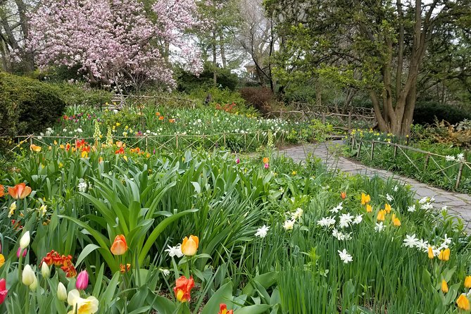 Central Park Secrets And Highlights - The guide makes the difference
