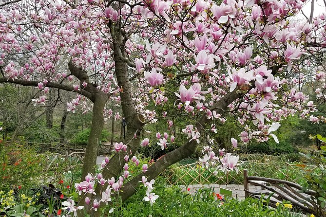 Central Park Secrets And Highlights - Who should book this Central Park tour?