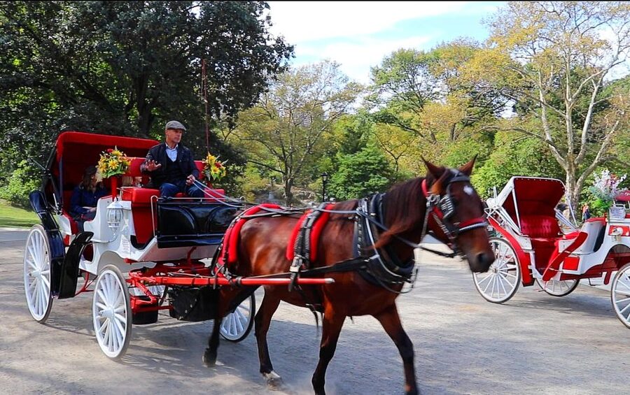 Central Park: Short Horse Carriage Ride (Up to 4 Adults) - Simple ways to get more from the 20 minutes