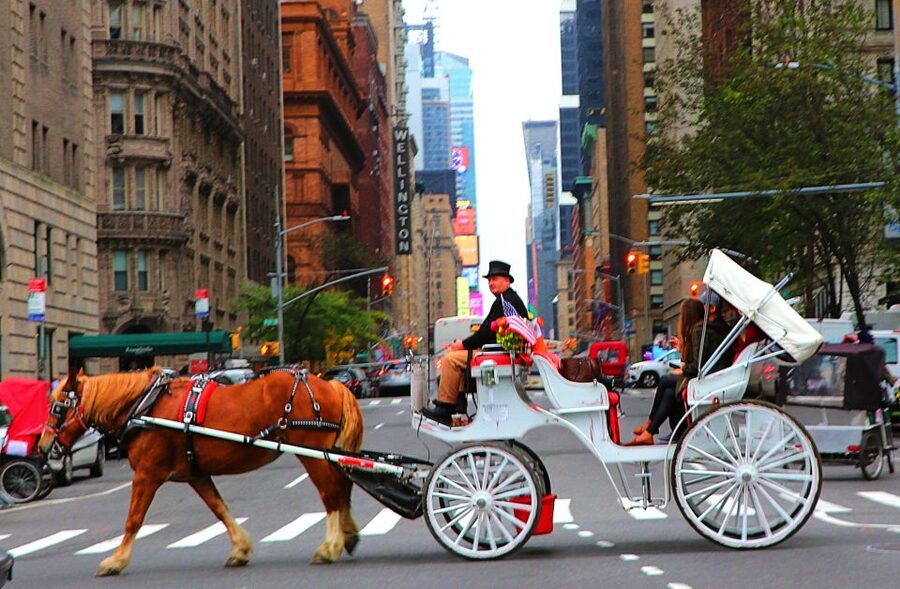 Central Park: Short Horse Carriage Ride (Up to 4 Adults) - What you see in the first few minutes