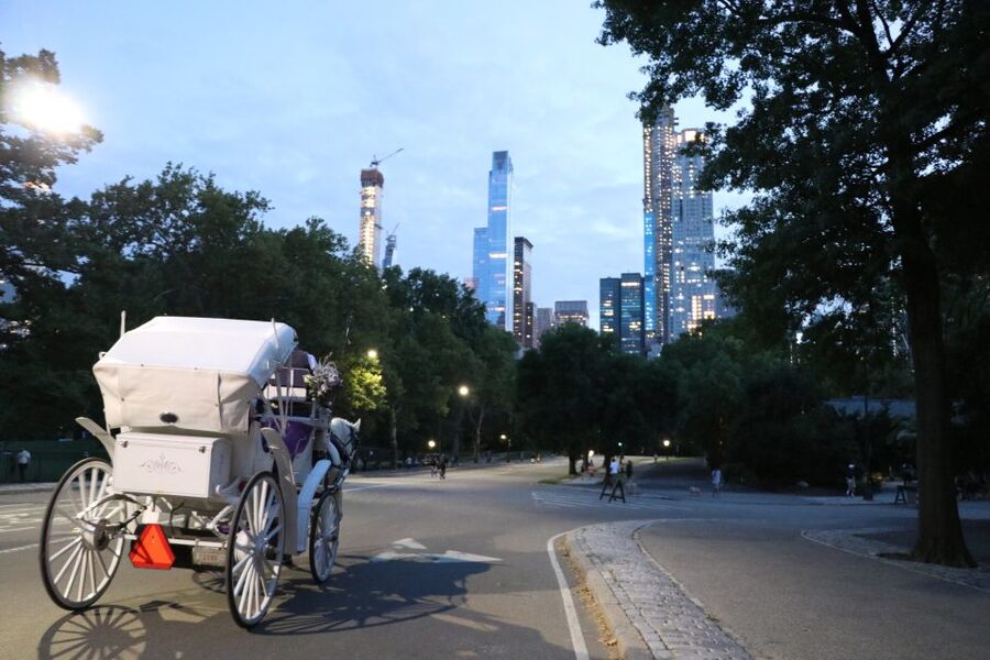 Central Park: Short Horse Carriage Ride (Up to 4 Adults) - Bethesda Terrace and Bow Bridge photo stops