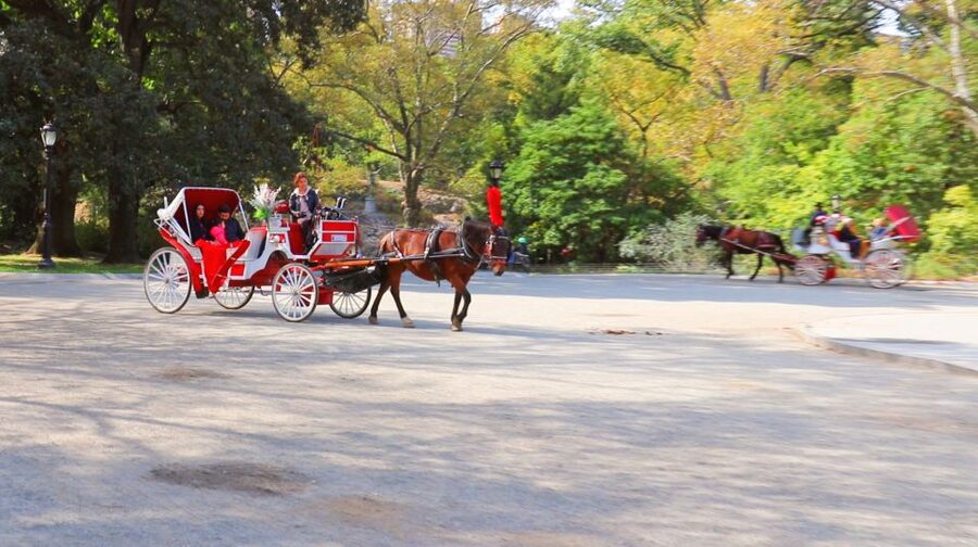 Central Park: Short Horse Carriage Ride (Up to 4 Adults) - Evening rides, winter blankets, and weather
